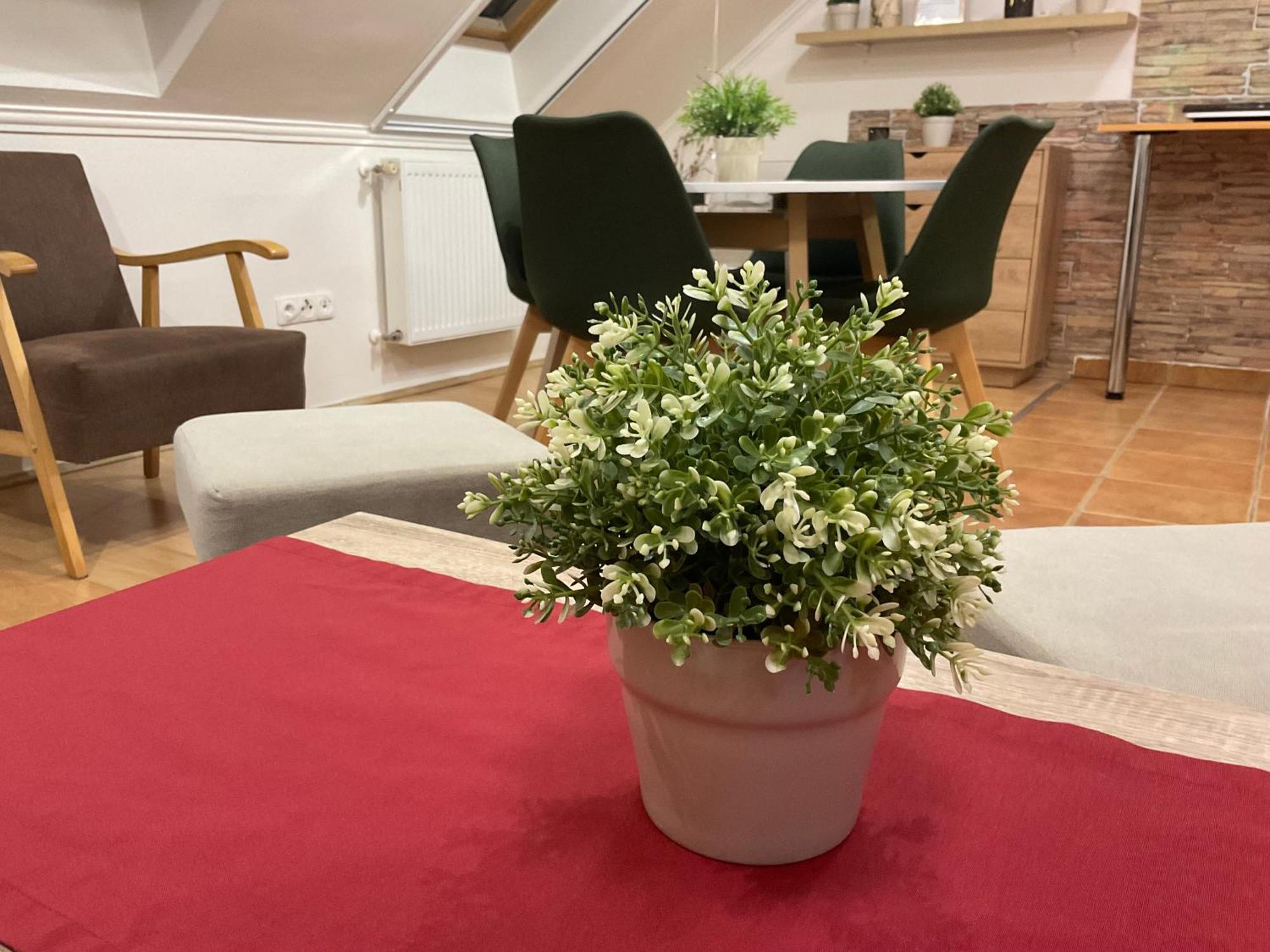 Sport Apartman Hajdúszoboszló Εξωτερικό φωτογραφία